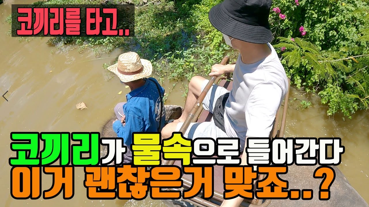 파타야 코끼리 트래킹 코끼리를 탔는데 물속으로 들어간다..