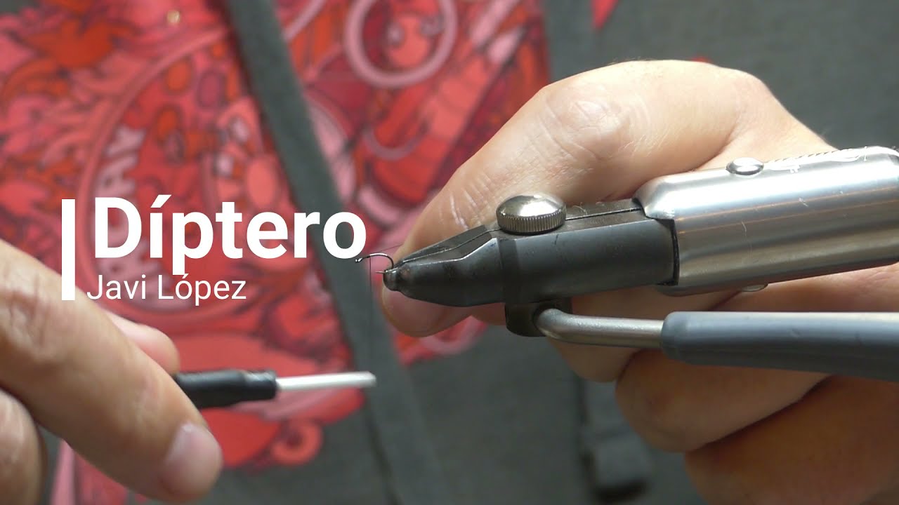 Díptero