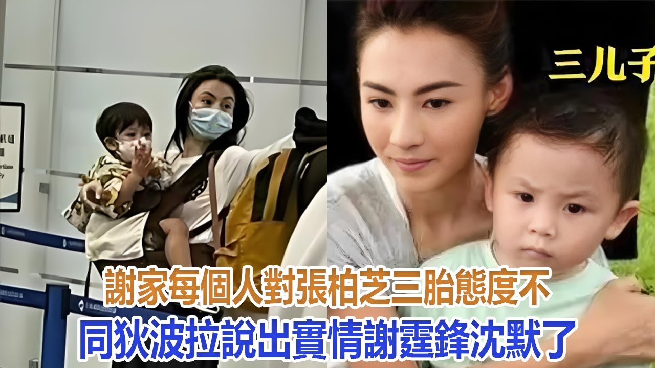 謝家每個人對張柏芝三胎態度不同，狄波拉說出實情，謝霆鋒沈默了#谢霆锋#张柏芝#谢振轩#谢振南#Lucas#Quintus#小Q#謝賢#狄波拉#王菲