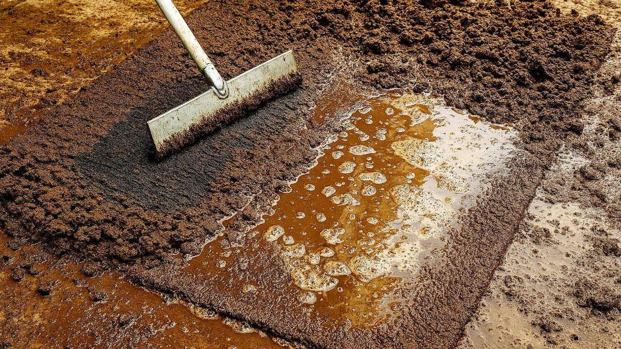 Most Satisfying Rug Cleaning Ever! Thick Dirt & Sludge Gone in Minutes!ASMR Deep Clean