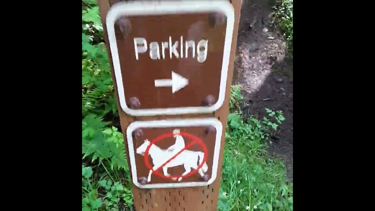camano ridge preserve trail