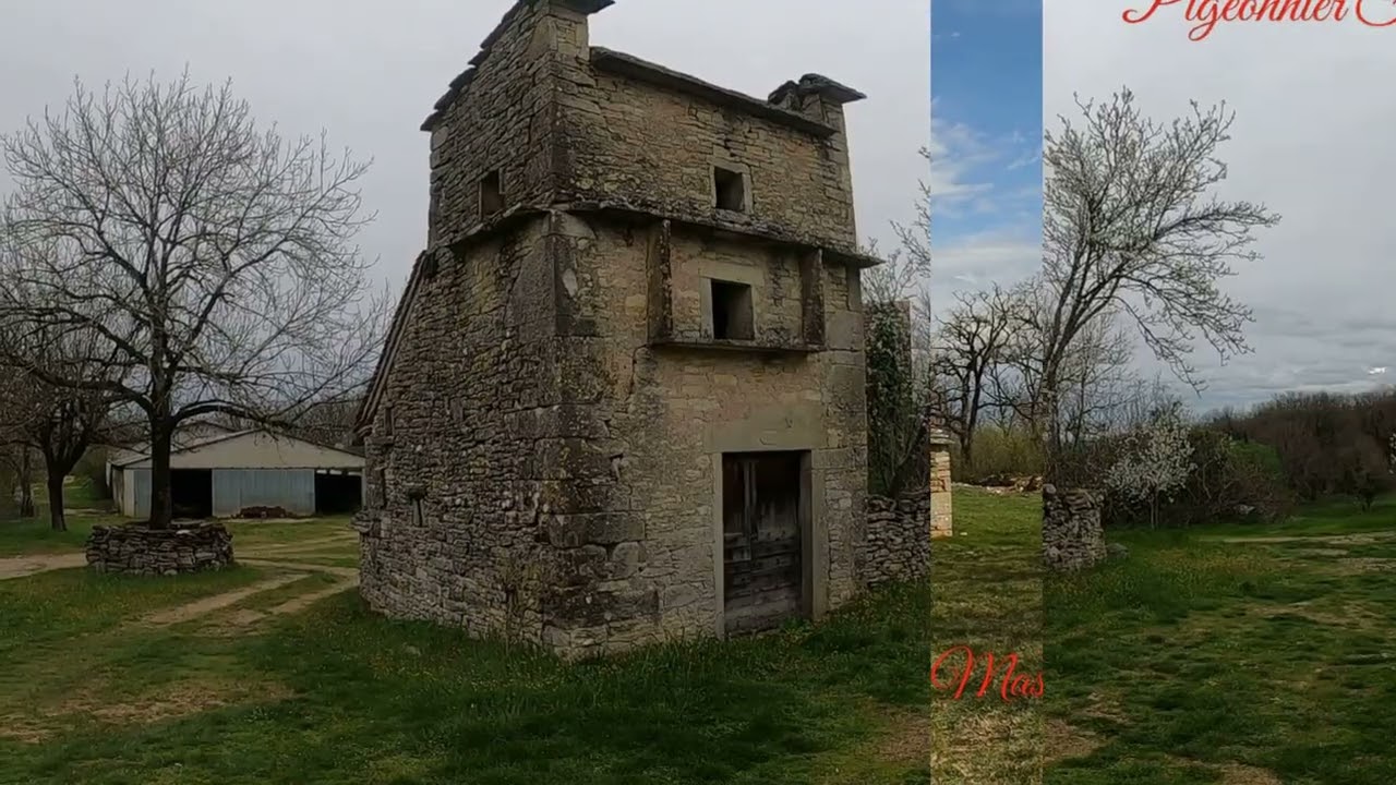 Rétro photos  2025