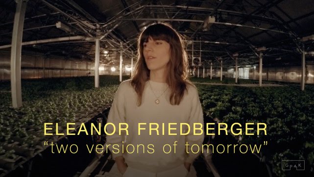 Eleanor Friedberger - 