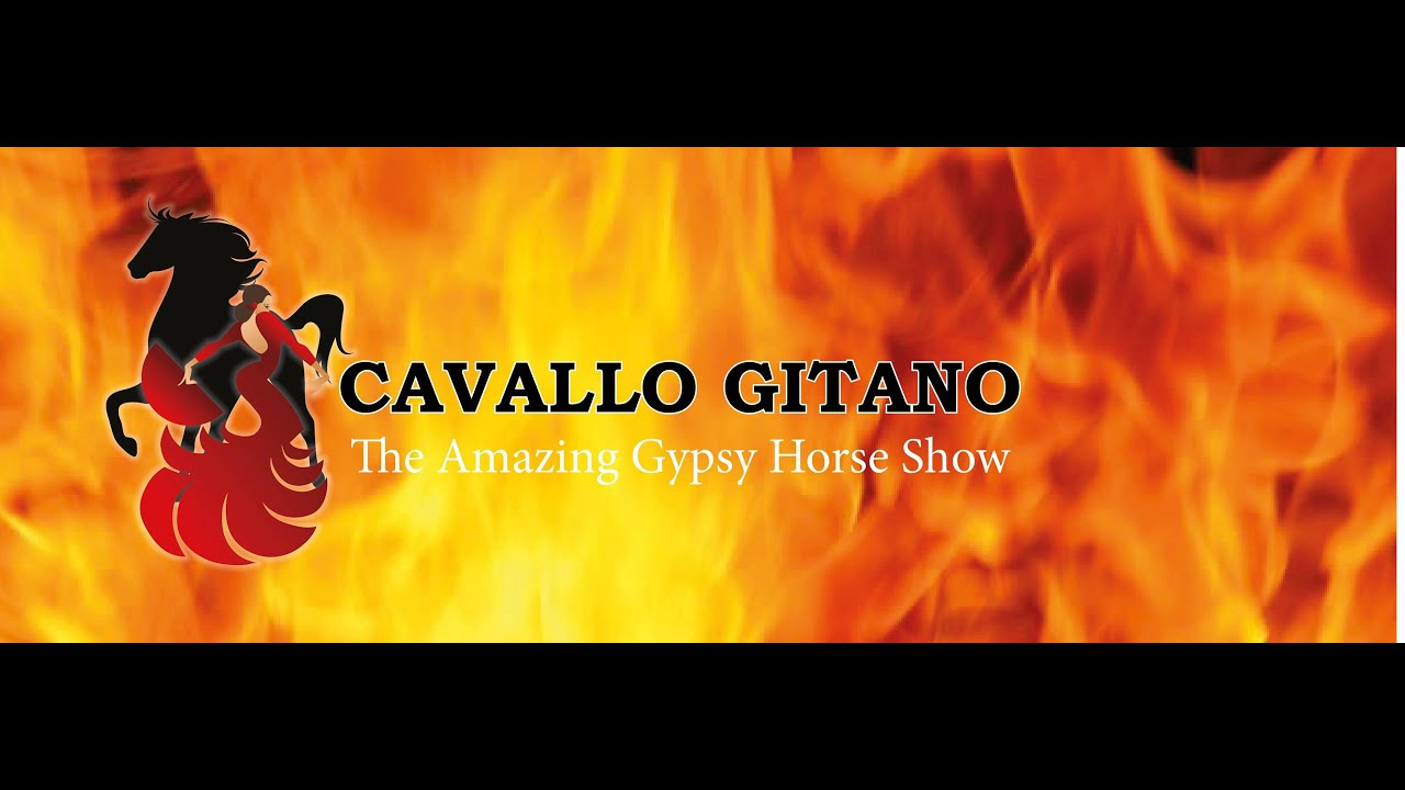 Namur Cavallo Gitano  Mars 2022