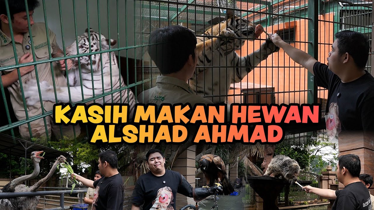 GW HAMPIR DIMAKAN HARIMAU ?!! KENALAN KE SEMUA HEWAN DI TEMPAT @AlshadAhmad !! LUCU LUCU SEMUA !!!