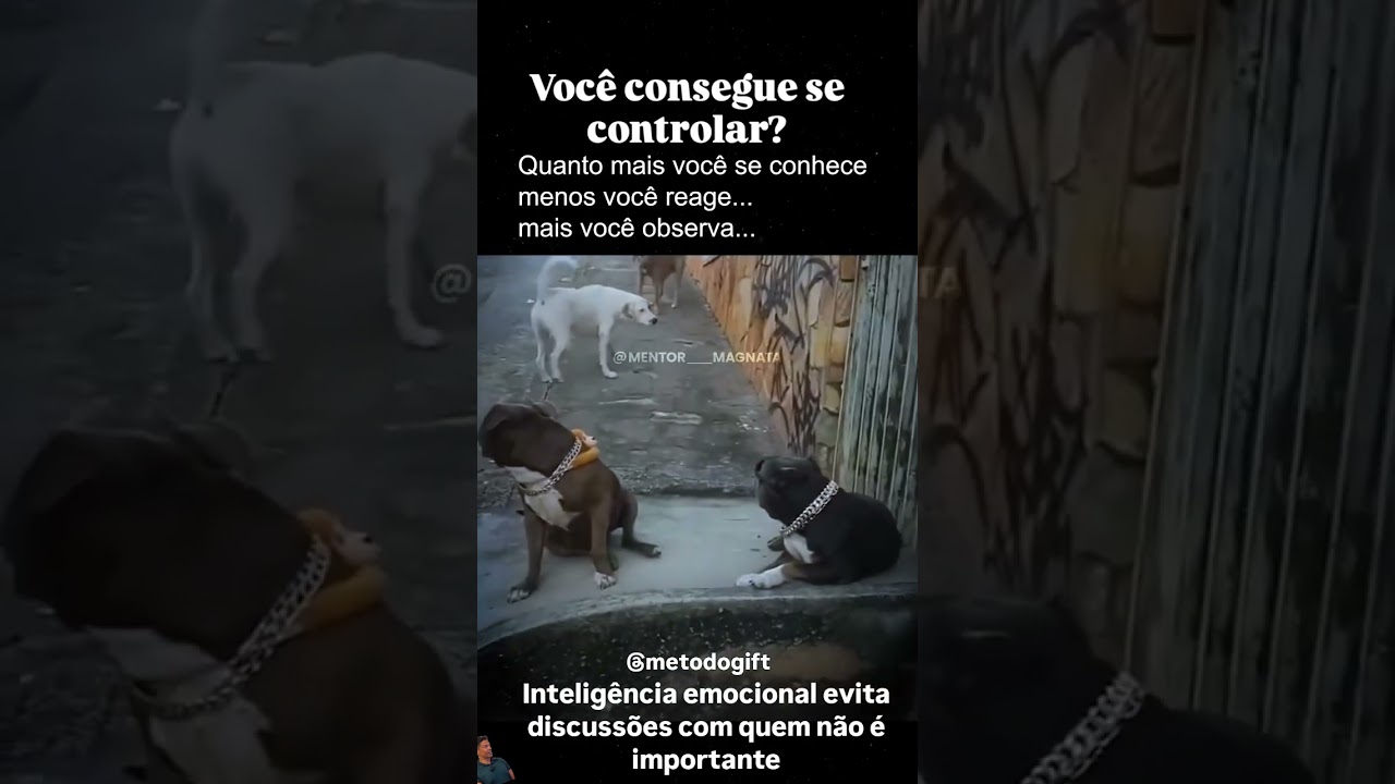 Ciclos de proximiade, j&aacute; ouviu falar? #metodogift #vivernopresente #inteligenciaemocional