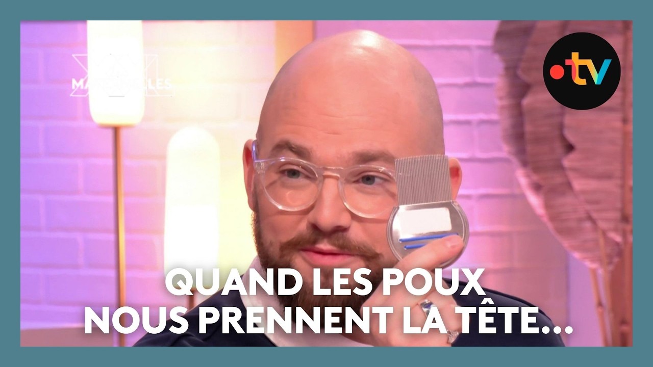 Alerte, des poux à la maison ! - Les Maternelles XXL