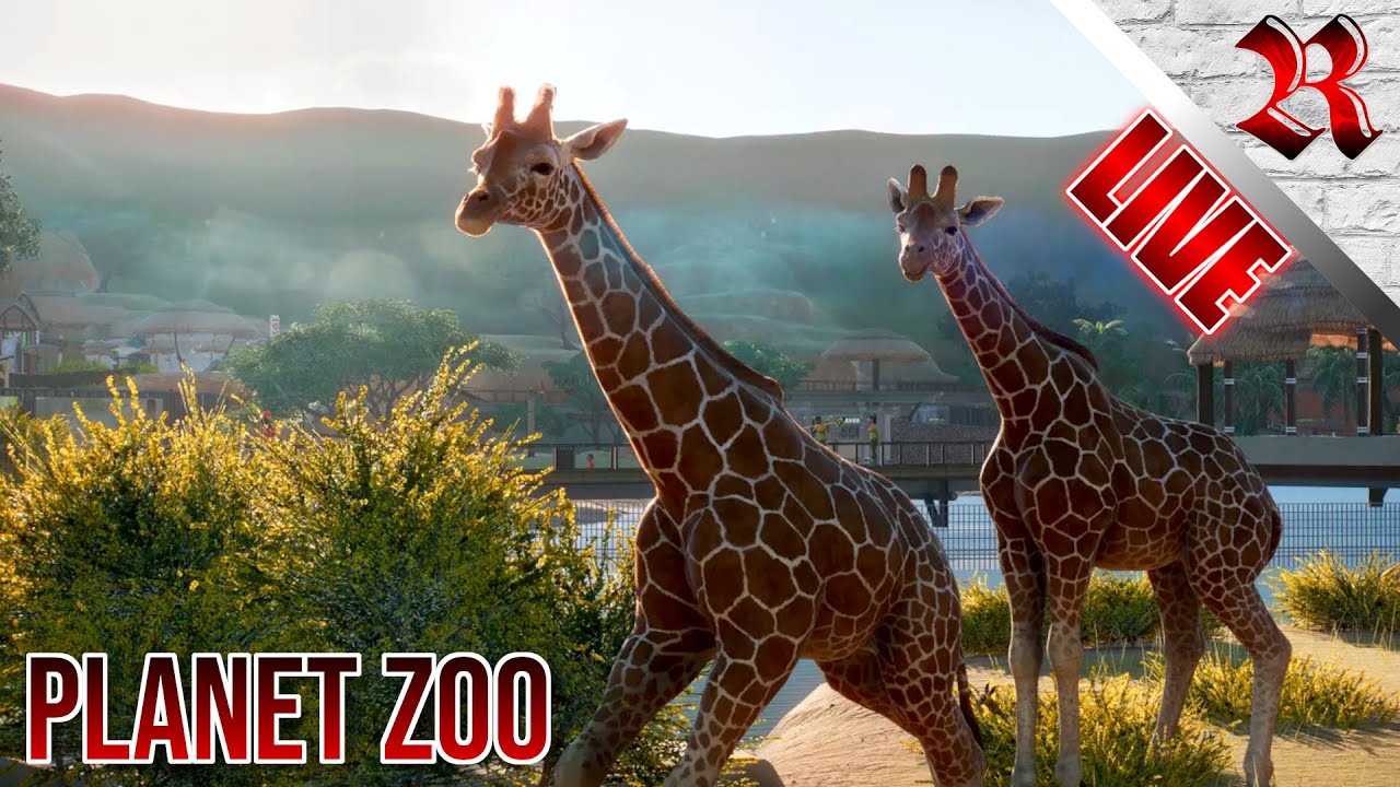 First Time Playing Planet Zoo | Come See a Wild Rya In a New Habitat