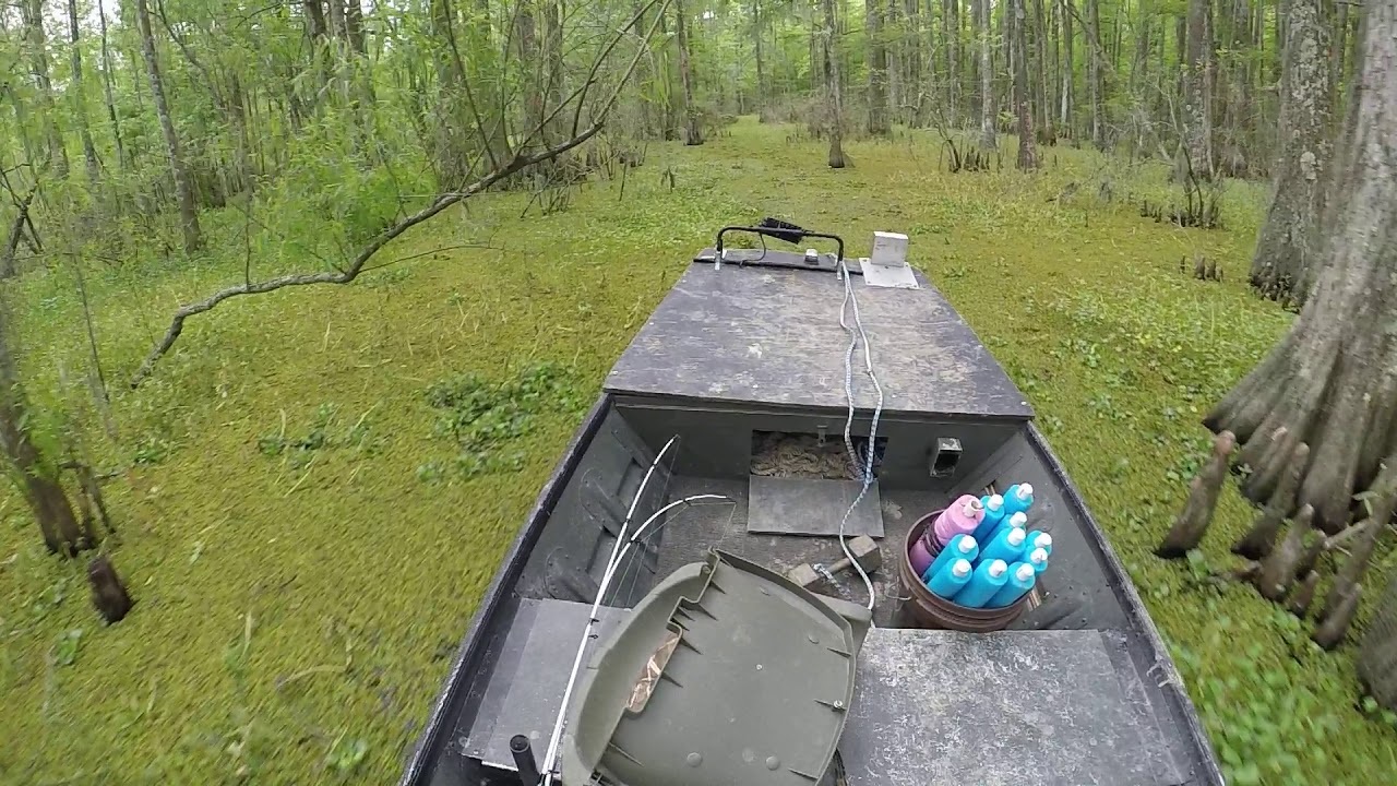 Go Devil Long Tail in Pierre Part, Louisiana (GoDevilGod)