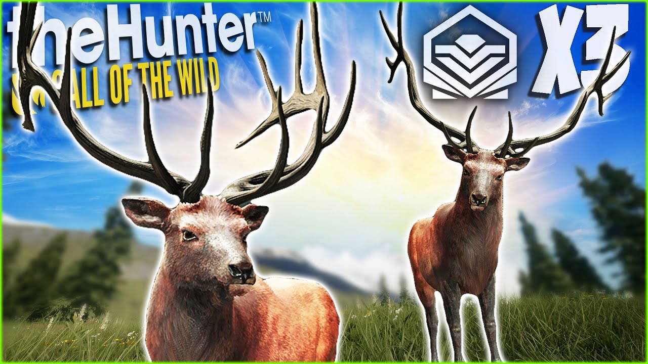 I ACCIDENTALLY Got 3 Diamond Rocky Mountain Elk... Call of the wild