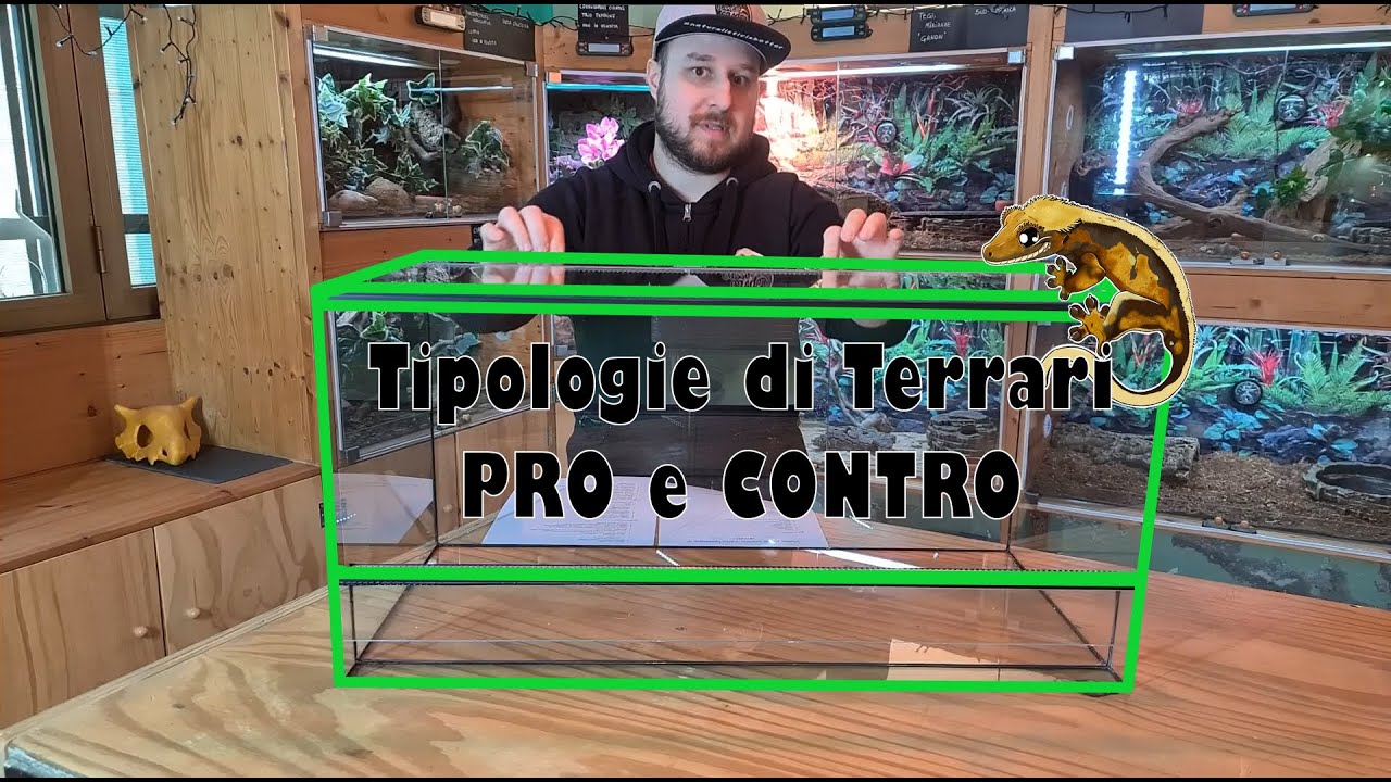 Terrario Pro e Contro dei TERRARI più comuni in commercio - rettili - Bassi Garden