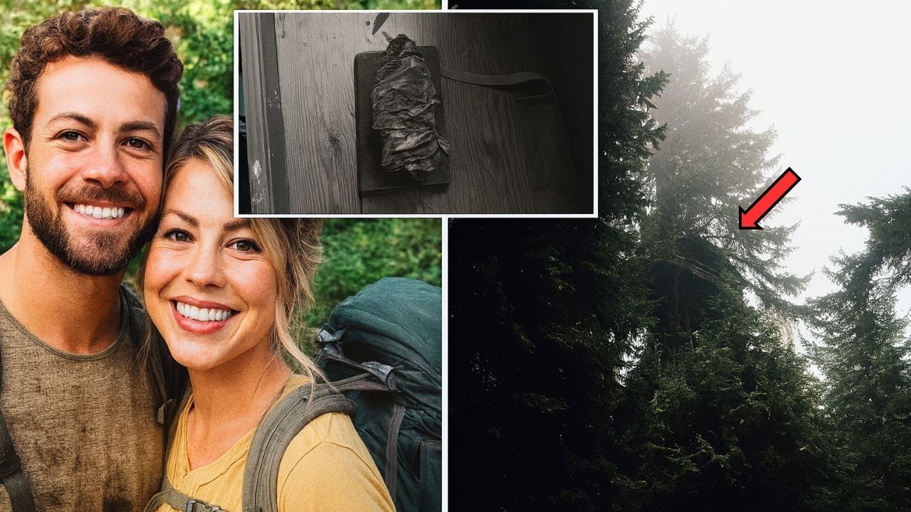 Couple Vanished In Oregon – 6 Years Later THIS Was Found Inside An Abandoned Tree Cabin..