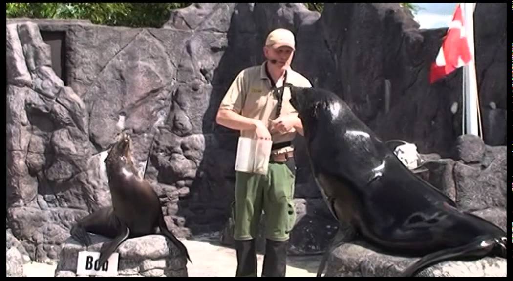 Hvolris Jernalderlandsby (del 2) og Bag om Jyllands Park Zoo (del 1)