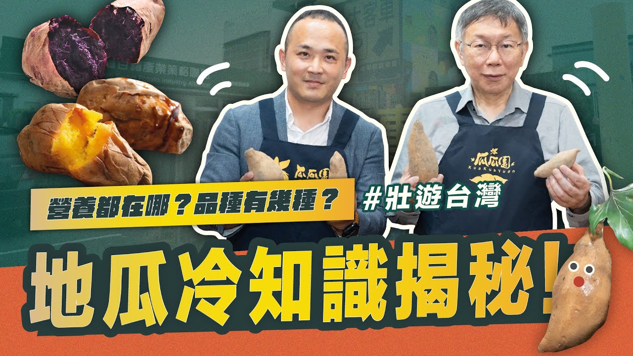 地瓜冷知識大揭秘 70%的營養不在地瓜？｜柯P來了 台南瓜瓜園
