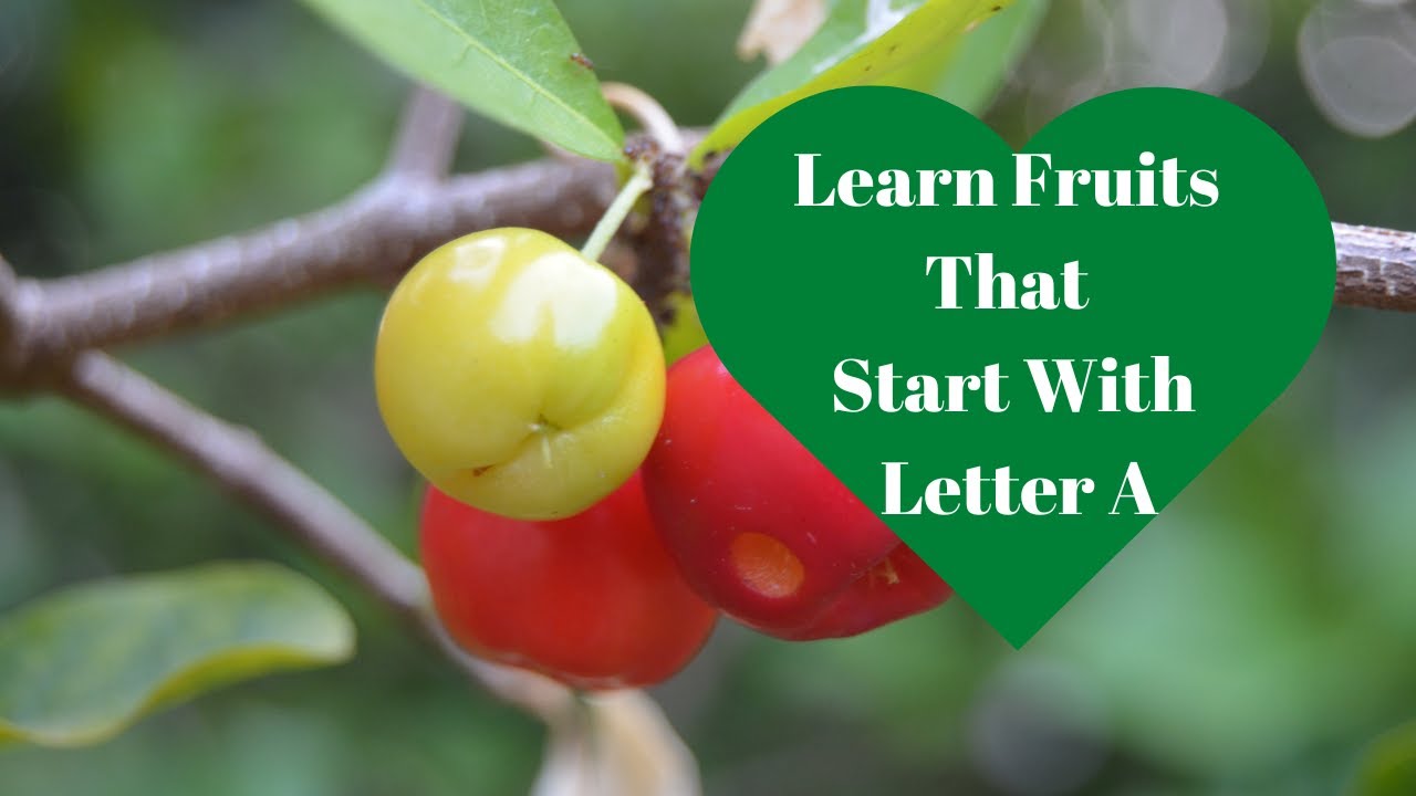 A List of Fruits that Start With the Letter A