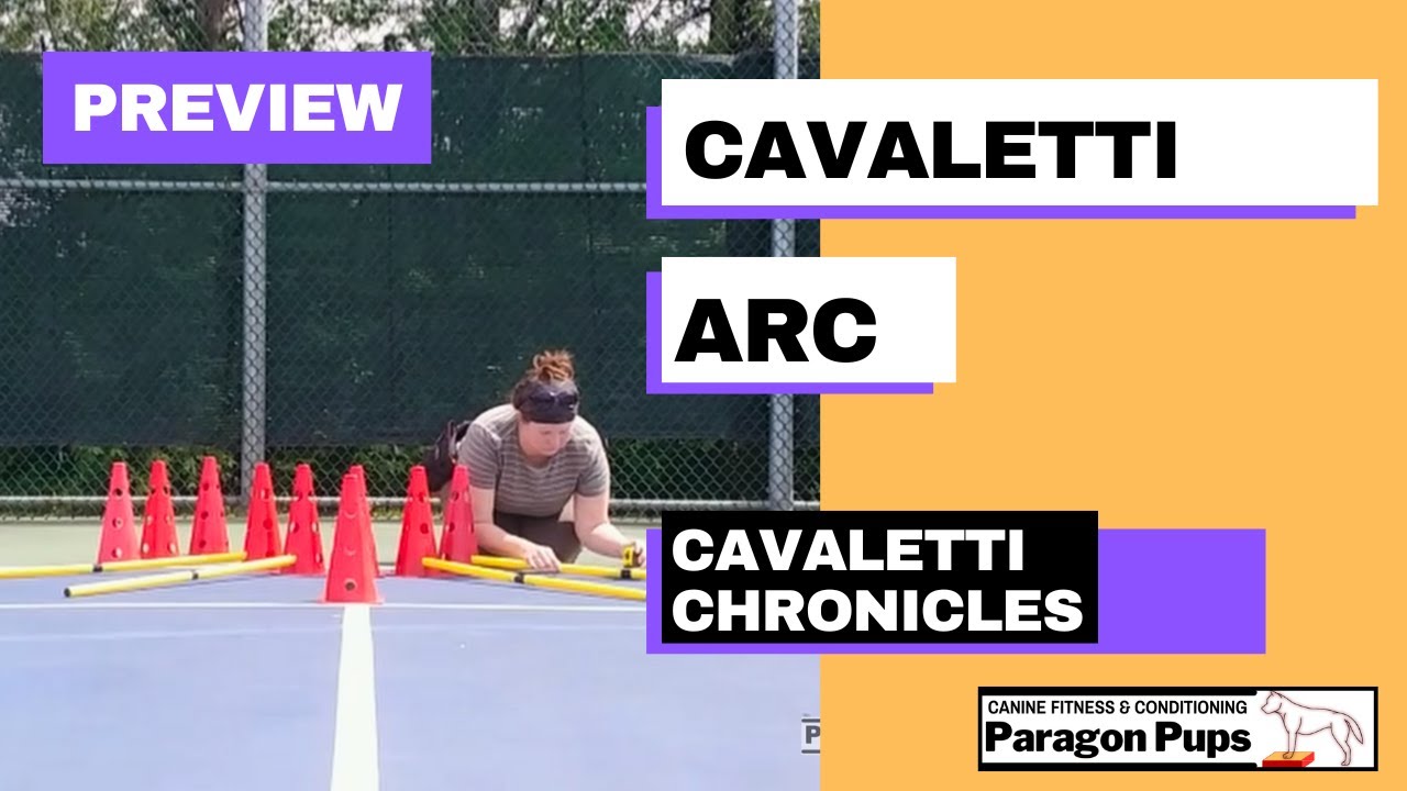 Cavaletti Arc Intro