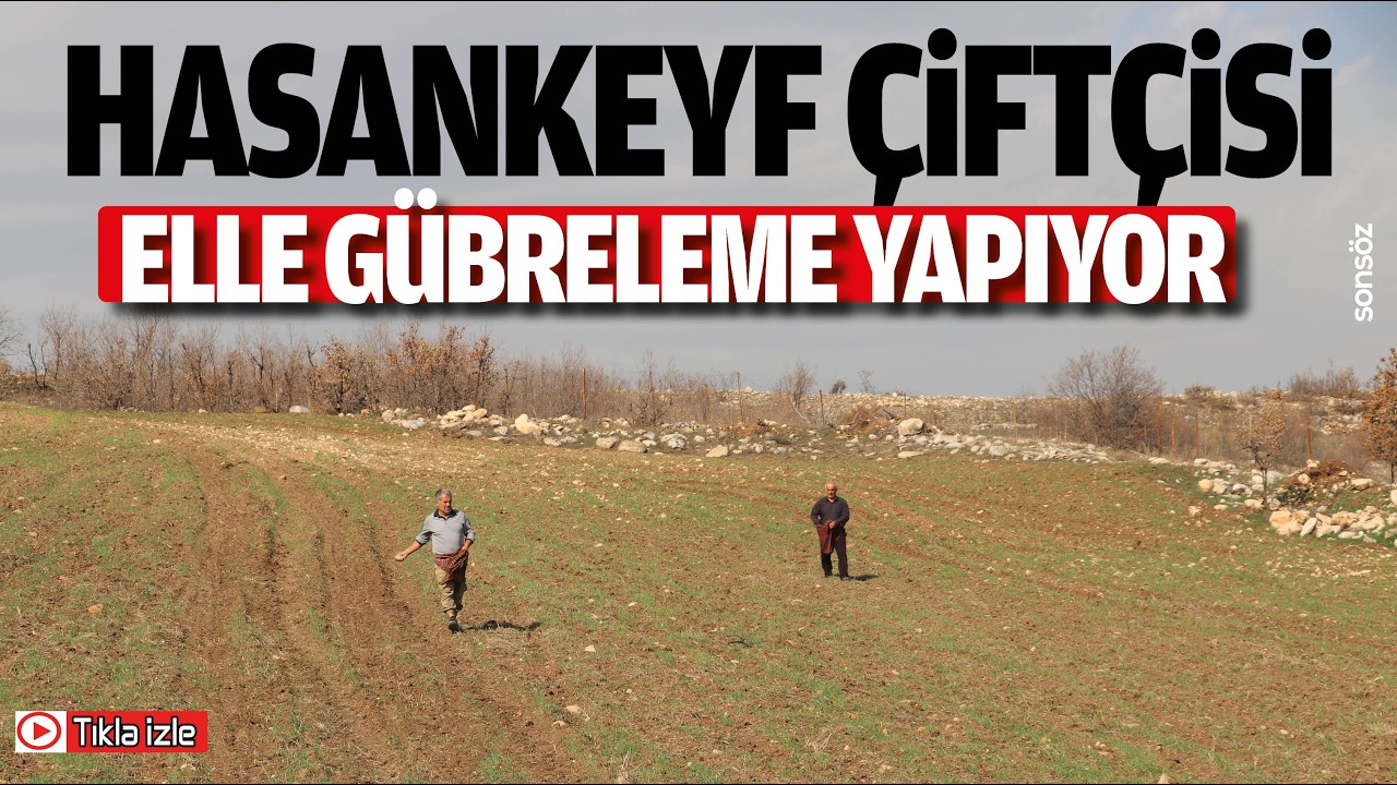 Hasankeyf Çiftçisi, elle gübreleme yapıyor