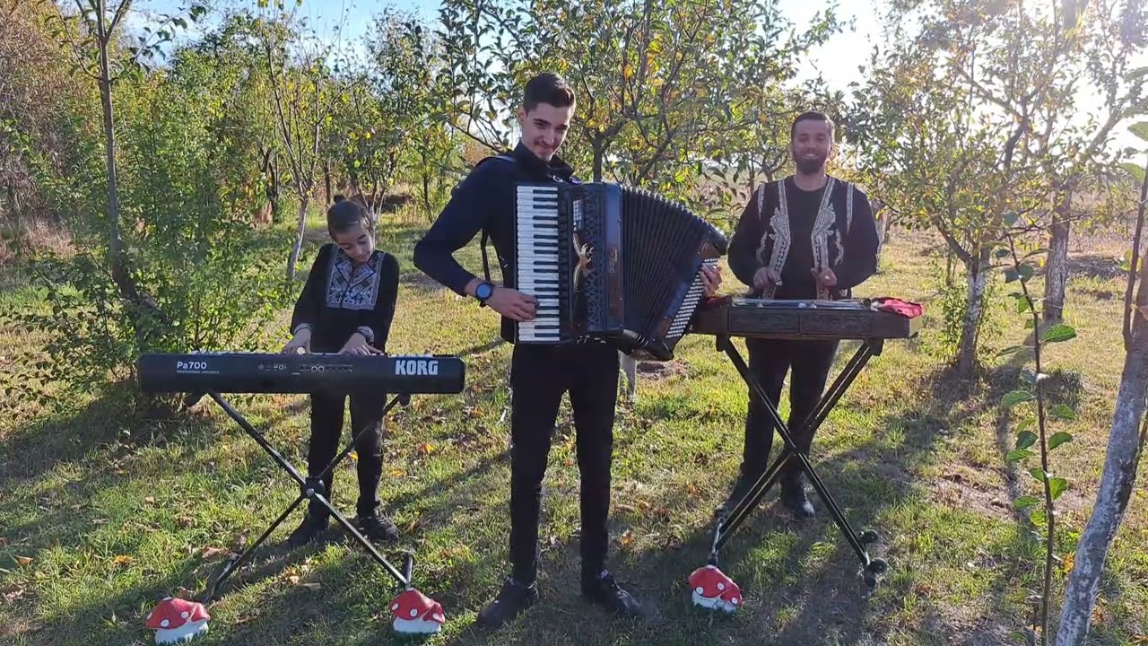 Vasile Pandelescu - Supărat am fost de mic Acordeon #nou2022 COVER #youtube #shorts |Tony Floricel |