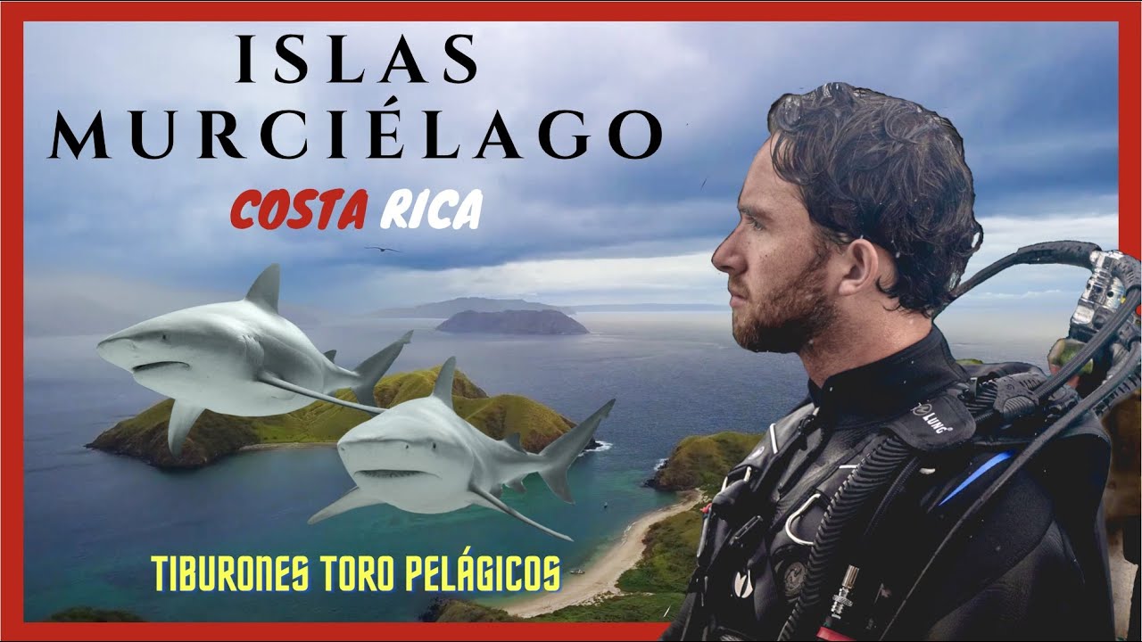ISLAS MURCIÉLAGO 🇨🇷  Buceo con TIBURONES TORO  en uno de los lugares MÁS INCREÍBLES DE COSTA RICA 🦈