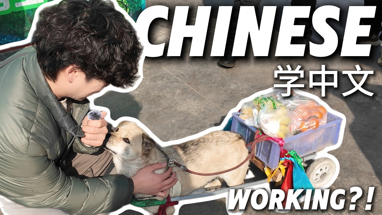 Found a Dog With a Job in China! 🐕🛒 Street Market Adventure | [HSK] Mandarin (CI) #learnmandarin