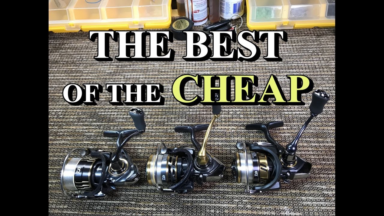Affordable Finesse Reels: Daiwa Legalis LT vs Daiwa Exceller LT vs Shimano Sahara Fi