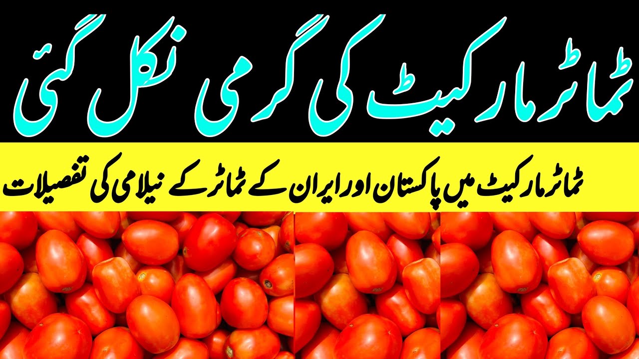 Tomato Market Prices Drop! ? 🍅 Pakistan & Iran Tomato Auction Details | 19 July 2026