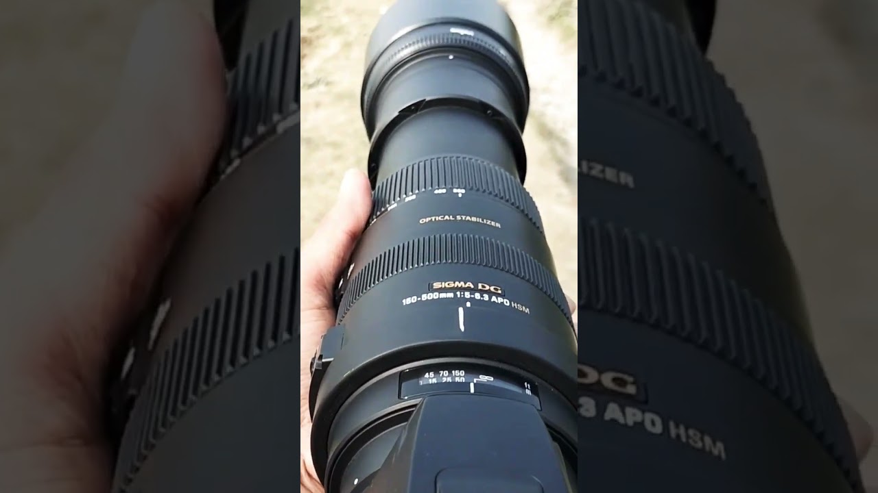 sigma 150-500mm canon mount #sigma150600 #sigma150500 #canon200dmarkii