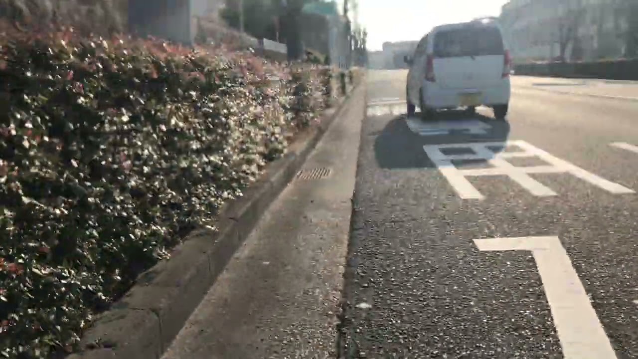 クルマクルマクルマ