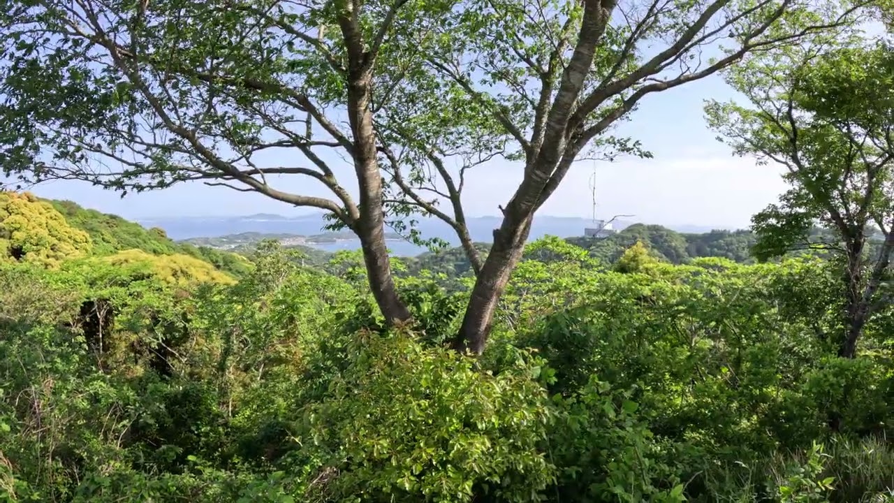 sangane