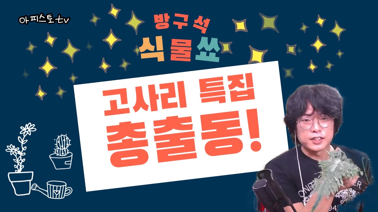 고사리의 모든 것 [방구석식물쑈 2회 풀영상] #식물 #식물집사 #식물초보 #식물튜브 #식물가꾸기 #식물탐구 #방구석식물쑈#아피스토TV#아피스토