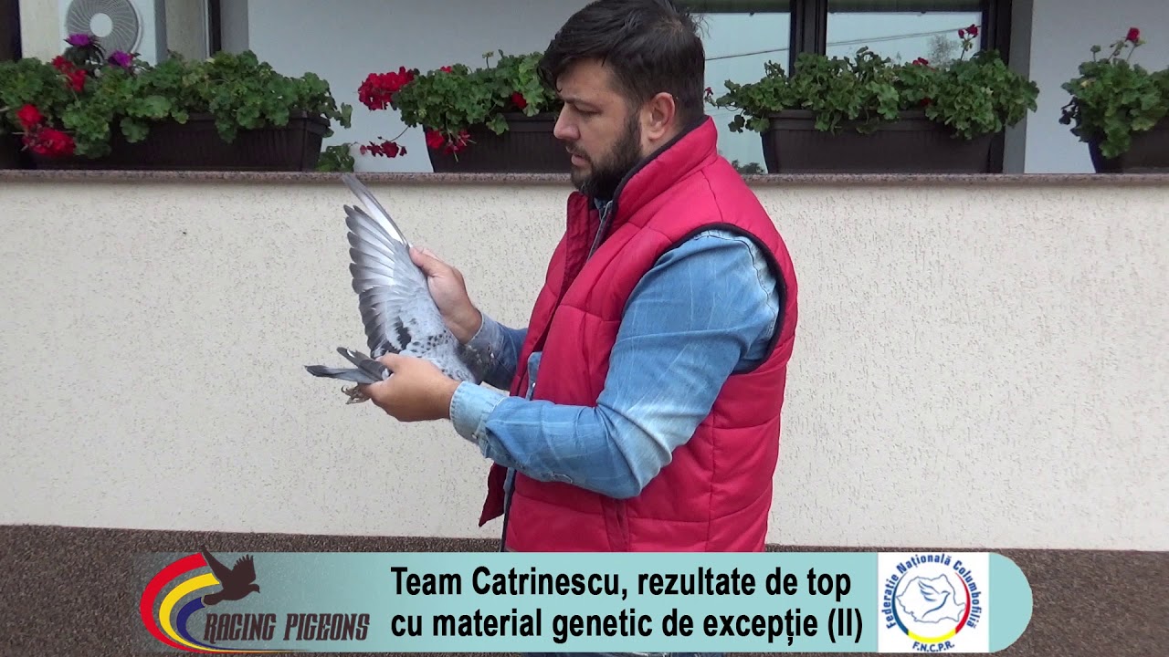 Team Catrinescu, rezultate de top cu material genetic de excepţie (II)
