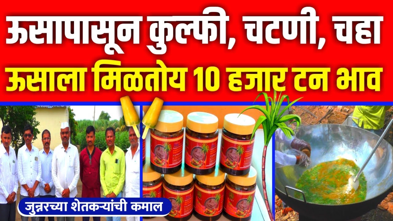 Tea Kulfi from Organic Sugarcane | जुन्नरच्या शेतकऱ्यांनी सेंद्रिय ऊसापासून बनवलं चहा, कुल्फी, चटणी