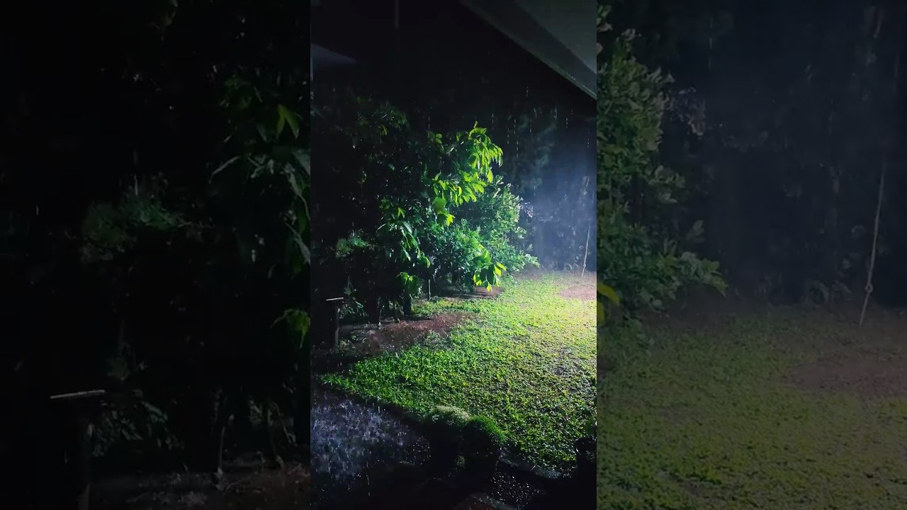 Kerala Summer Rain - A Symphony of Peace & Serenity | Relaxing Monsoon Magic 🌧️
