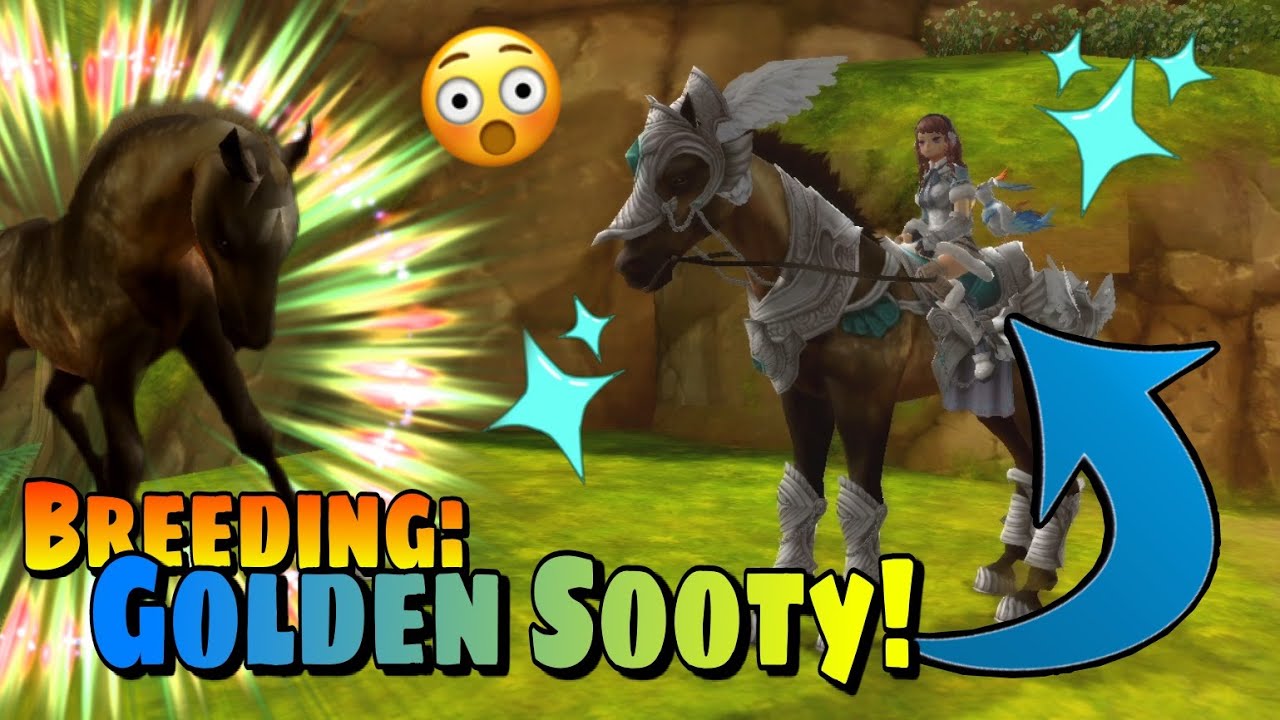 DAPPLE BAY + SOOTY BAY = WOW!? - Alicia Online Breeding [Not Edited]