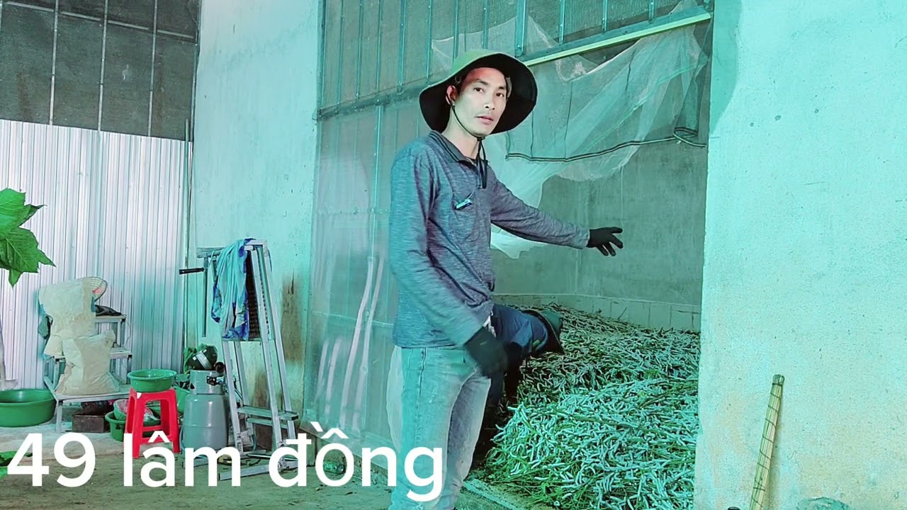 có nên hay không khi phát triền nuôi tằm hộ gia đình
