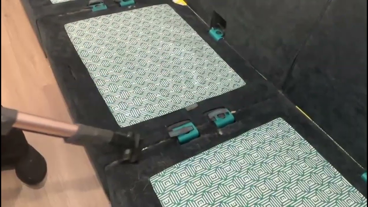 How to Remove Pet Hair from a Sofa | Professional Cleaning Tips