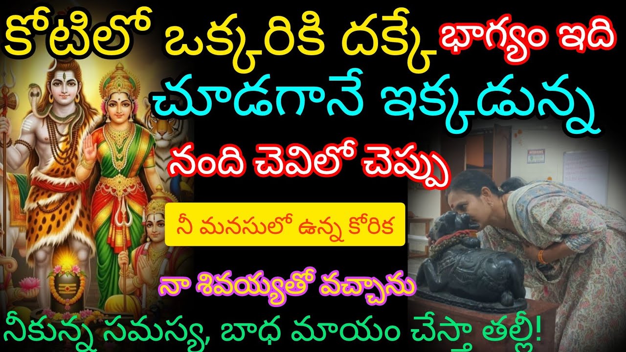 కోటిలో ఒక్కరికి దగ్గర భాగ్యం ఇది నందితో చెవిలో చెప్పావుగా నా శివయ్యతో కలిసి వచ్చాను నీకున్న సమస్య 