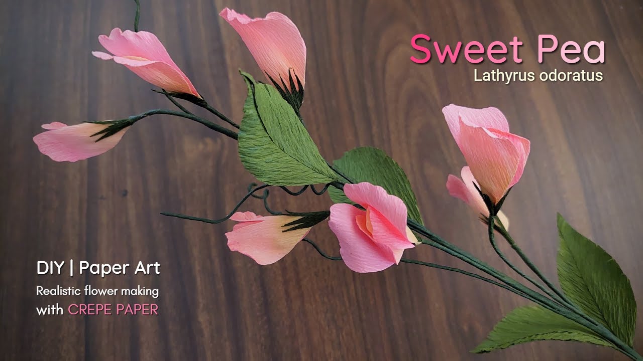 Flower making step by step | Sweet pea | Lathyrus odoratus | Art and craft | DIY