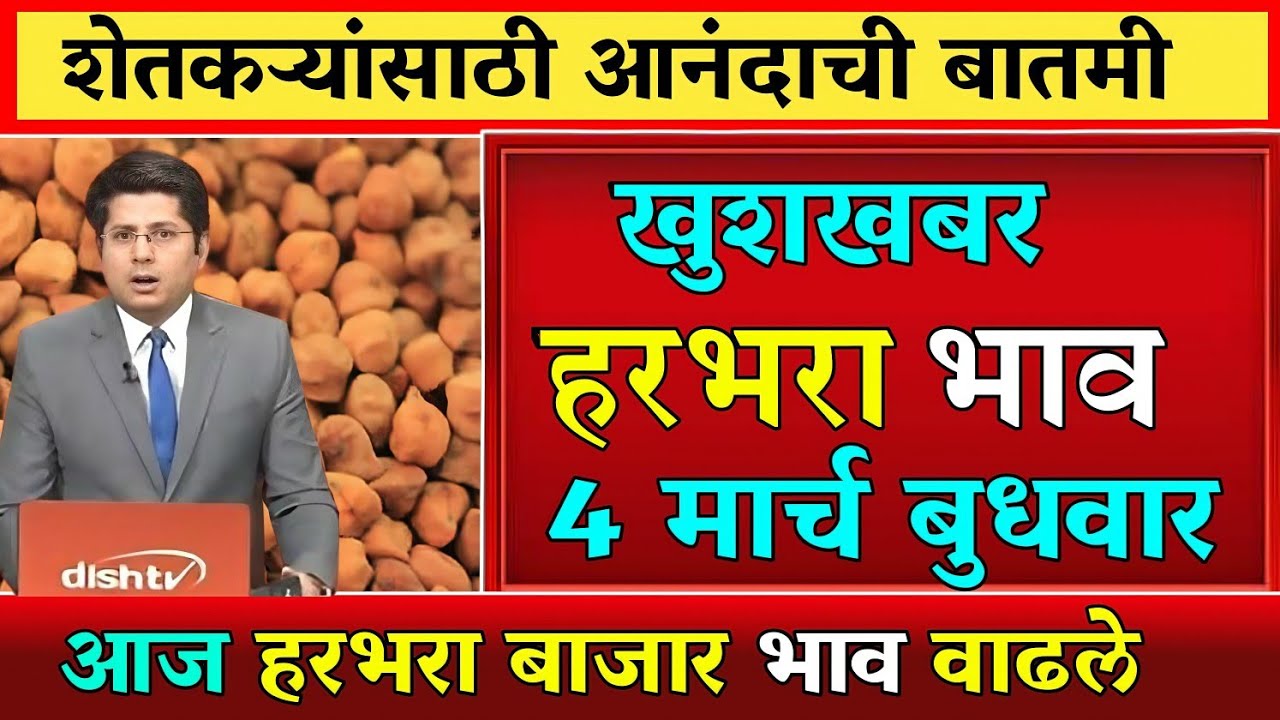 हरभरा दरात मोठी वाढ? पहा आजचे ताजे बाजारभाव | कोणत्या मार्केटमध्ये मिळाला सर्वाधिक दर?