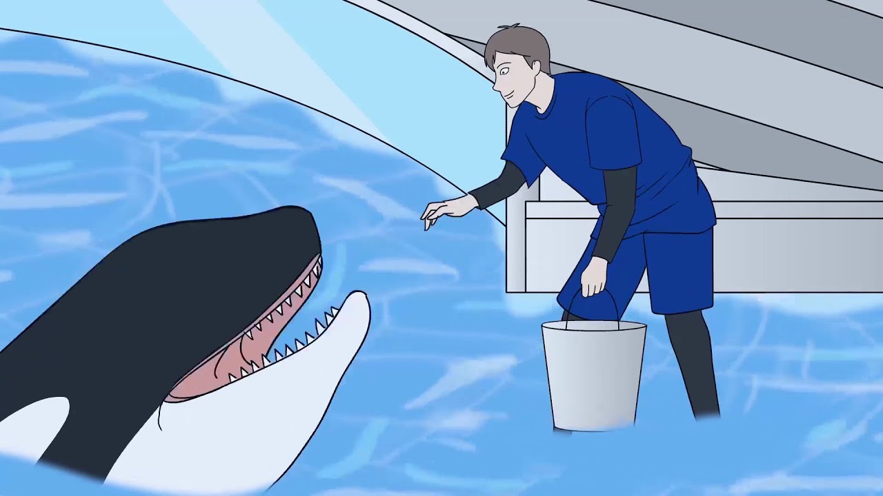 Midnight Aquarium (Horror Story Animated)
