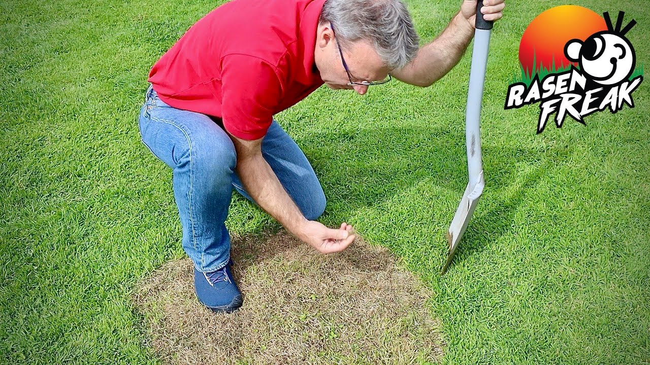 Was ist das für ein Gras? Der RASENFREAK analysiert die Rasenfläche eines Kollegen.
