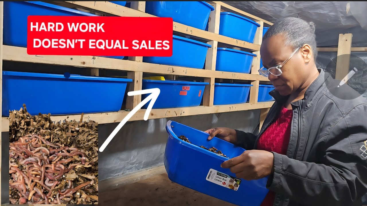 Worm Business Marketing: Why Hard Work Isn't Enough 