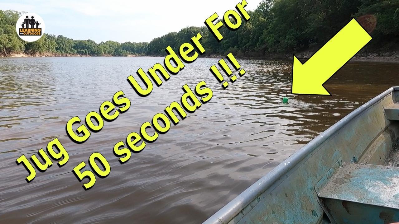 HUGE fish when jugging for catfish!