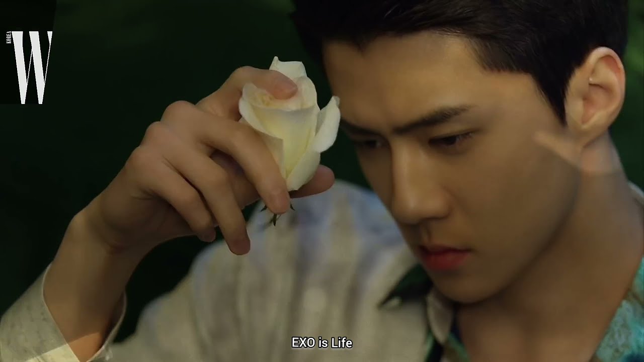 EXO Oh Sehun edit - Control (Halsey)