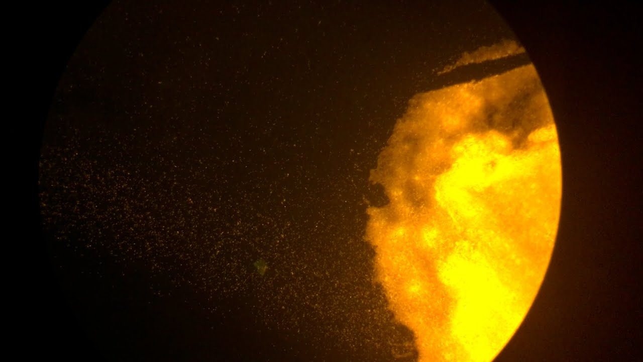 Easy DIY Fluorescence microscope