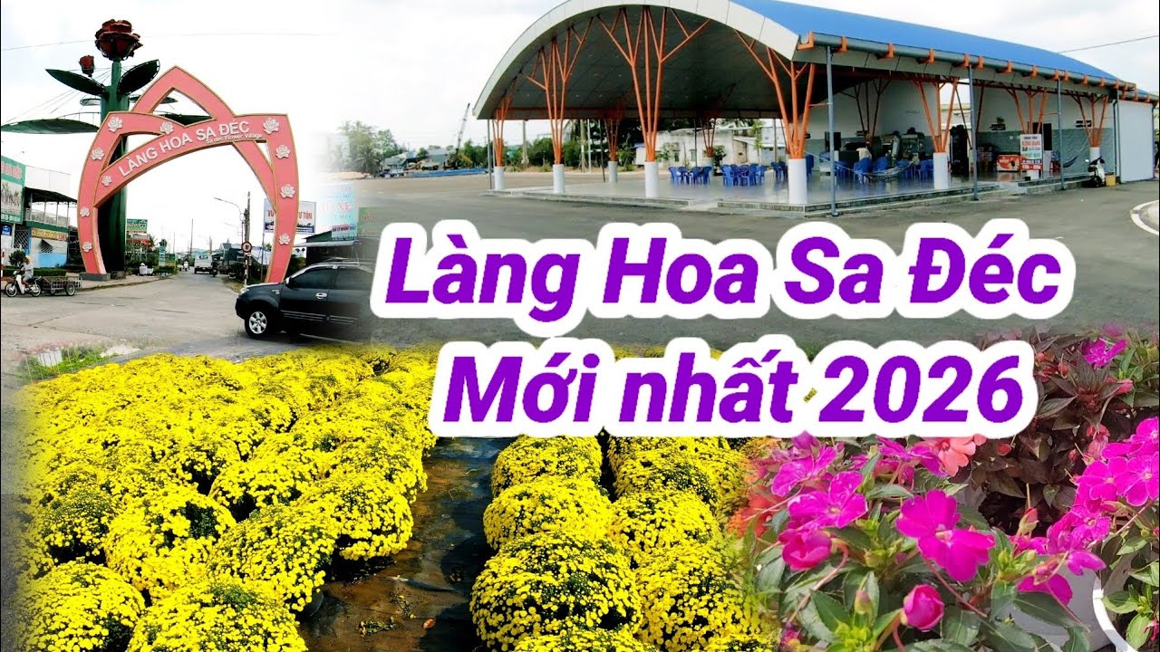 Làng hoa sa đéc mới nhất 2026