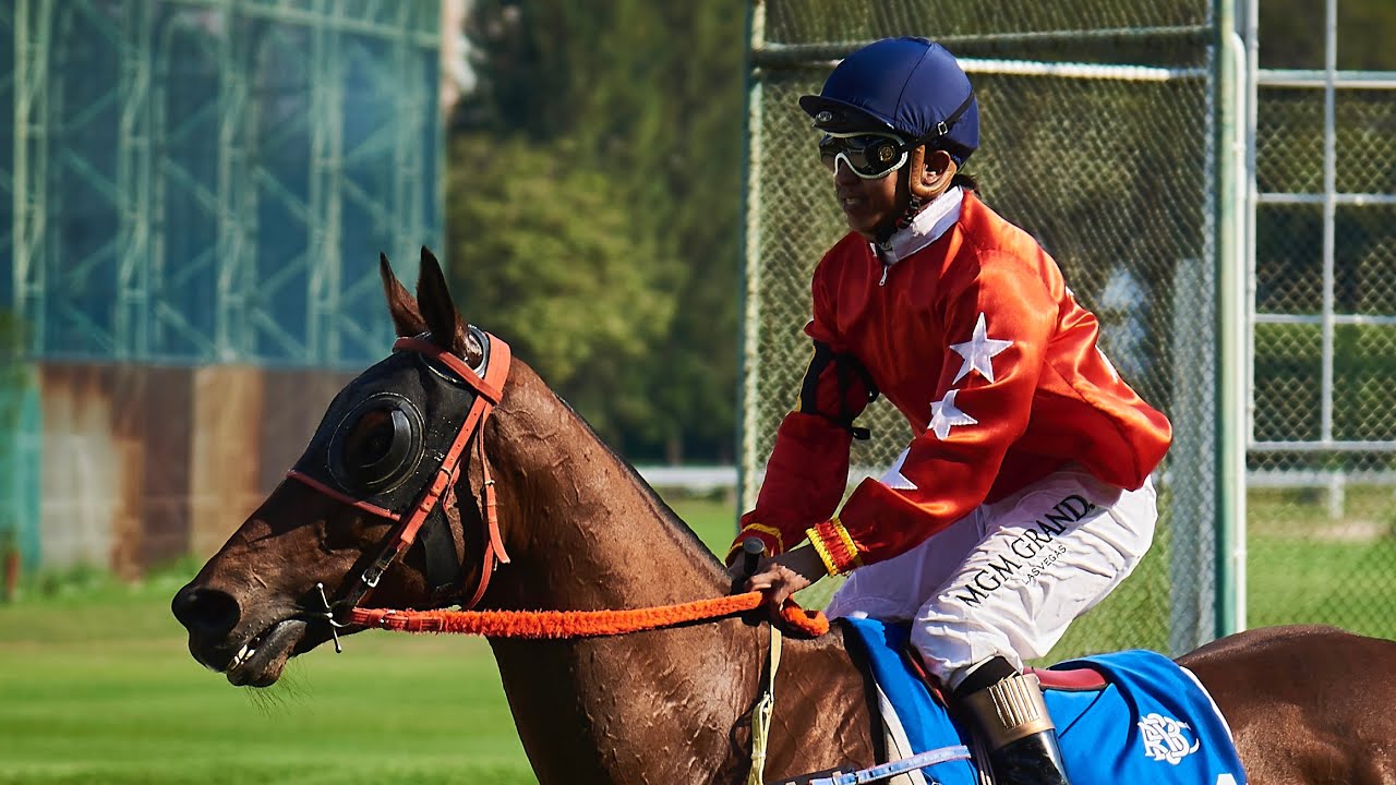 THE STAR - 01/02/2026 - Race 6 - The Allure Stakes (Thoroughbred Class 4A)