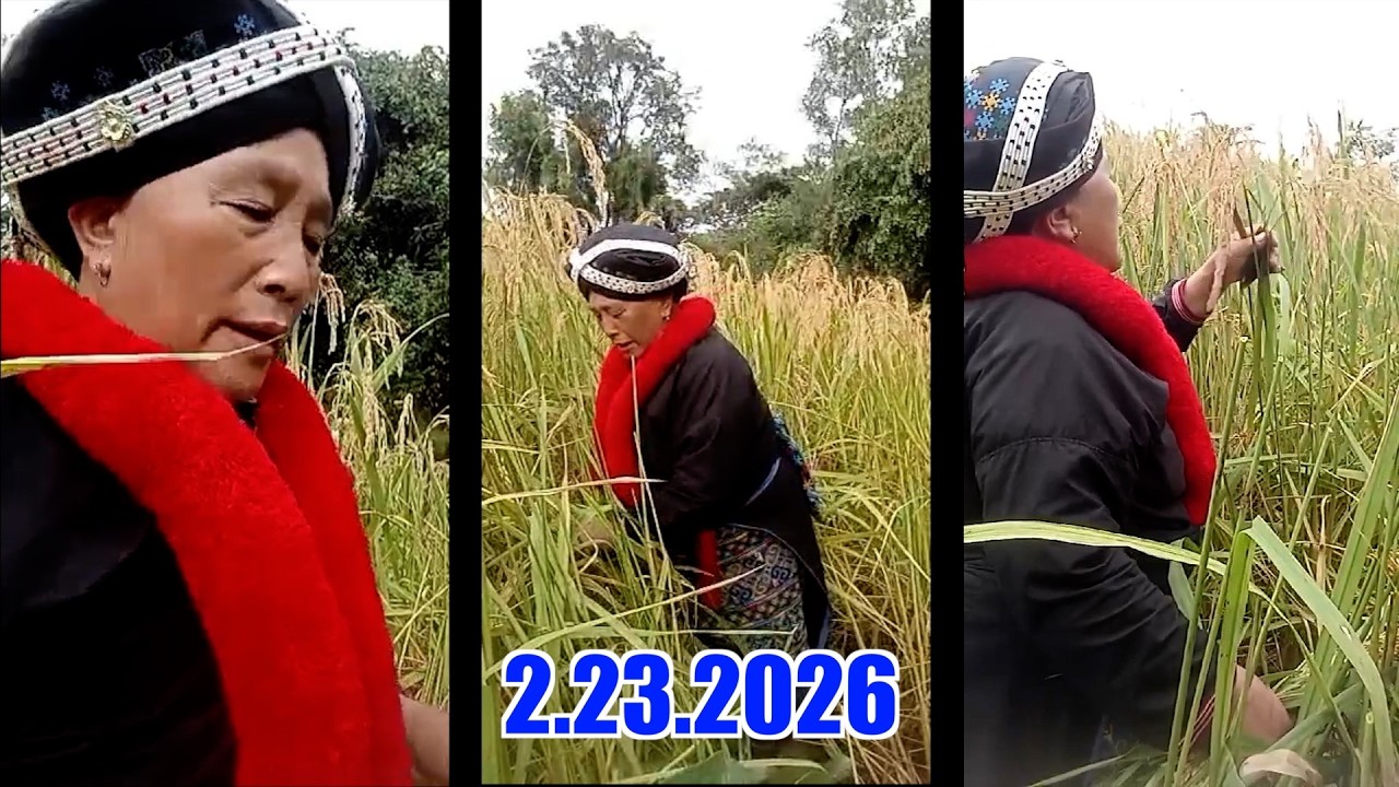 Iu Mien | Wuih Nzung Bun Dangc Wuonh Chiang | 2.23.2026