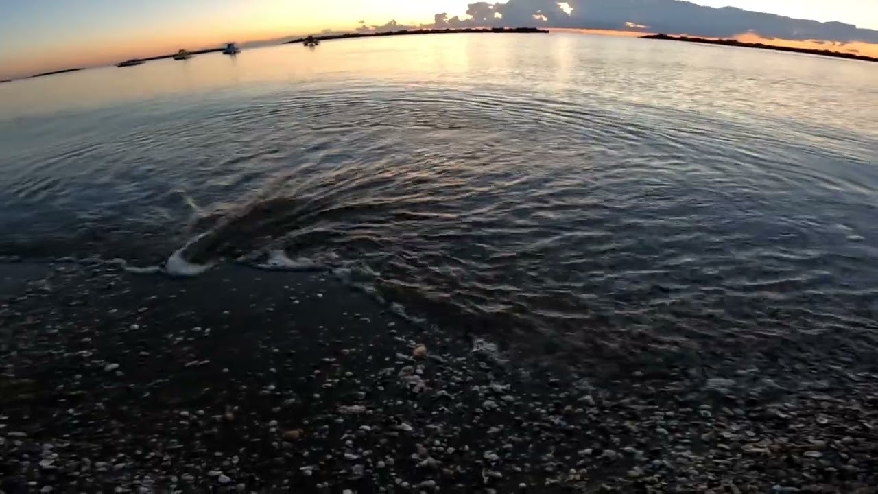 Morning at the sea side