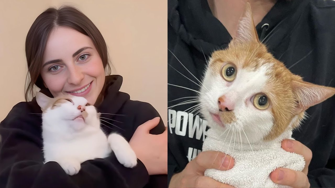 She Wasn't A Cat Person But He Inserted Himself Into Her Heart ❤️
